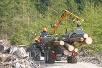 Stabile Konstruktion: Der Holzrückewagen mit Kran von Rudolf Pritsch ist ausgelegt für 4 Tonnen Nutzlast – aus dem Wald zieht Rudi immerhin 2 Tonnen