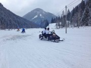 Snowmobil Touren in Tratten 2016: für 180 Euro mit 160 Sachen über verschneite Wiesen und Forstwege